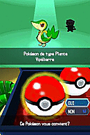 Pokémon Version Blanche Pokemo10