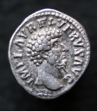Le médailler de Caligula de Lugdunum - Page 6 Img_8220