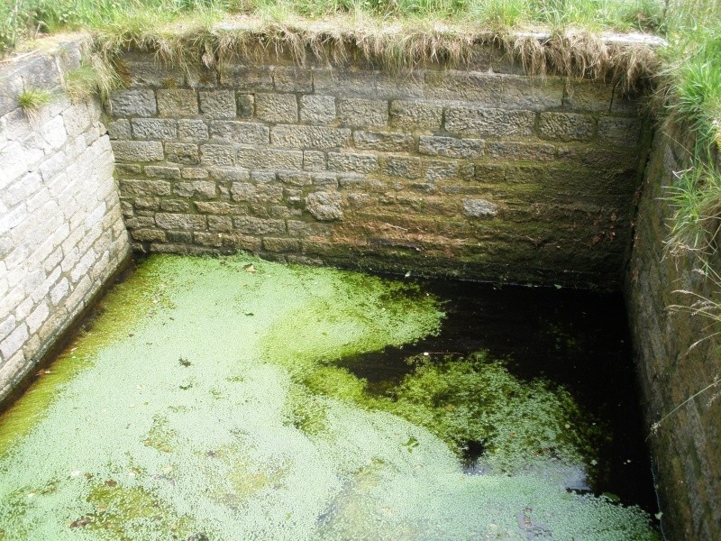 HALLOWN WELL or SAINTS WELL P6201611