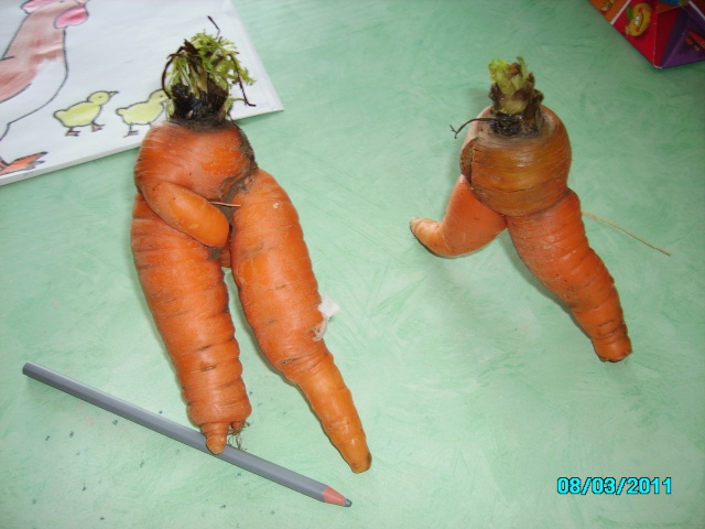 Légumes aux formes bizzares. Salon_13