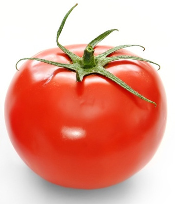 Favorite fruit Tomato10