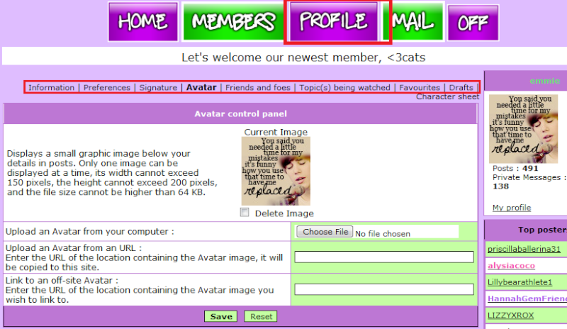 How do you put a picture on the side or ucan help me with how to make a Siggy/Avvie? Erwe10