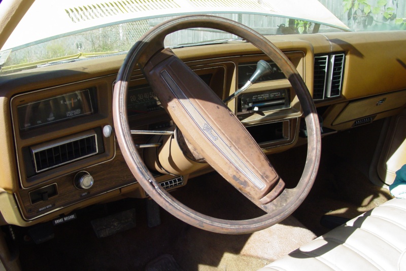 Steering wheel CRAP ! Dsc01213