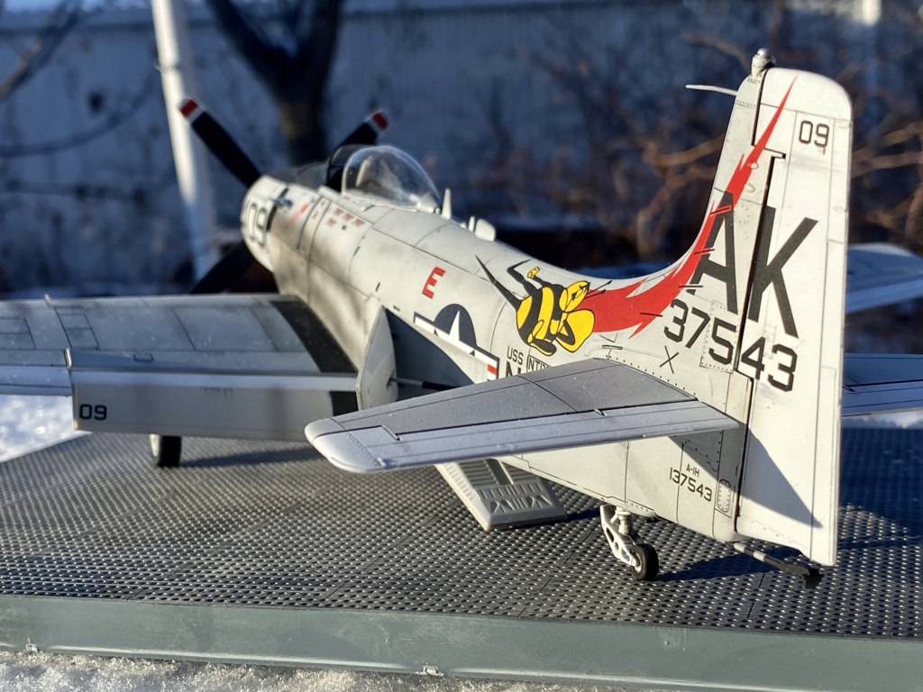 Douglas Skyraider Tamiya - US Navy, VA-176 Img_e128