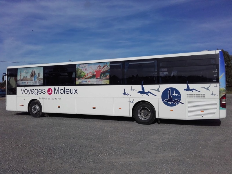iveco - Voyages Moleux Groupe Inglard Abc11