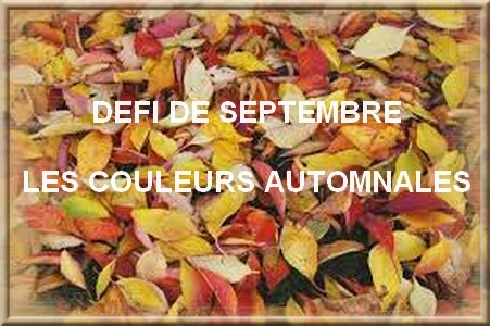 Défi de septembre 2022 : Des couleurs automnales - Page 7 A-przo55