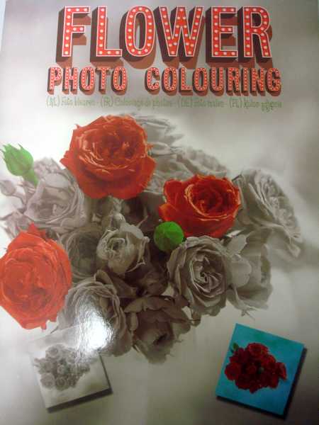 Flower Photo Coloring Dsc03565