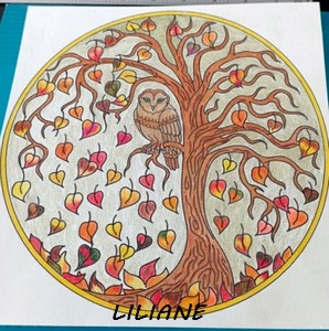 divers dessins à colorier gratuit Lilian18