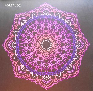 Présentation Maitz172