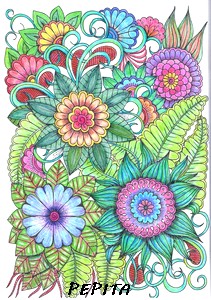 Nouveauté chez Chameleon- Crayons de couleurs Pepita11