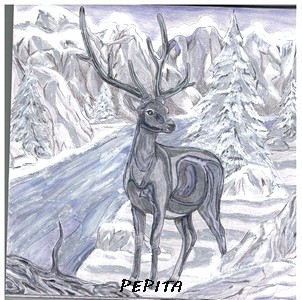 Peter Pan - An Enchanting Coloring Book Pepita41