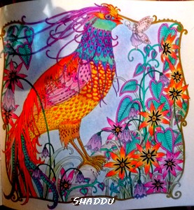 La gouache en stick Saddhu33