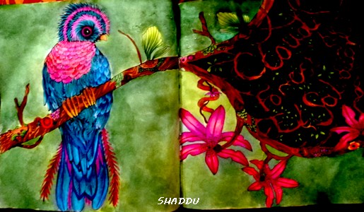 Coloriage anti-stress art-thérapie forum officiel coloriage zen adulte Saddhu35