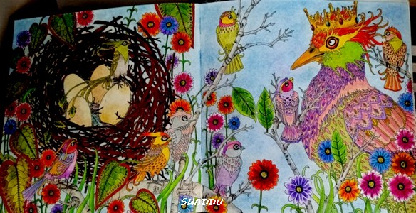 Crayons "Magic" de Koh I Noor Saddhu38