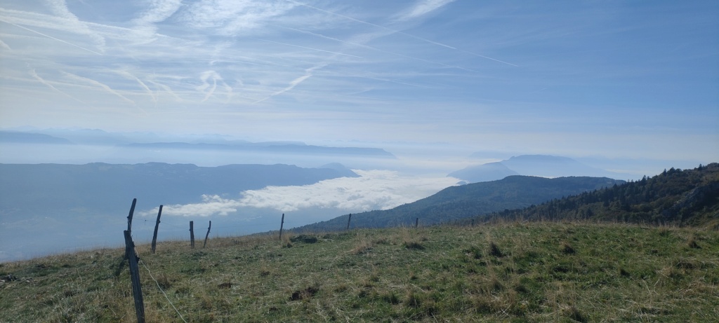 MO31 Sur Lyand Le Grand Colombier Img21879