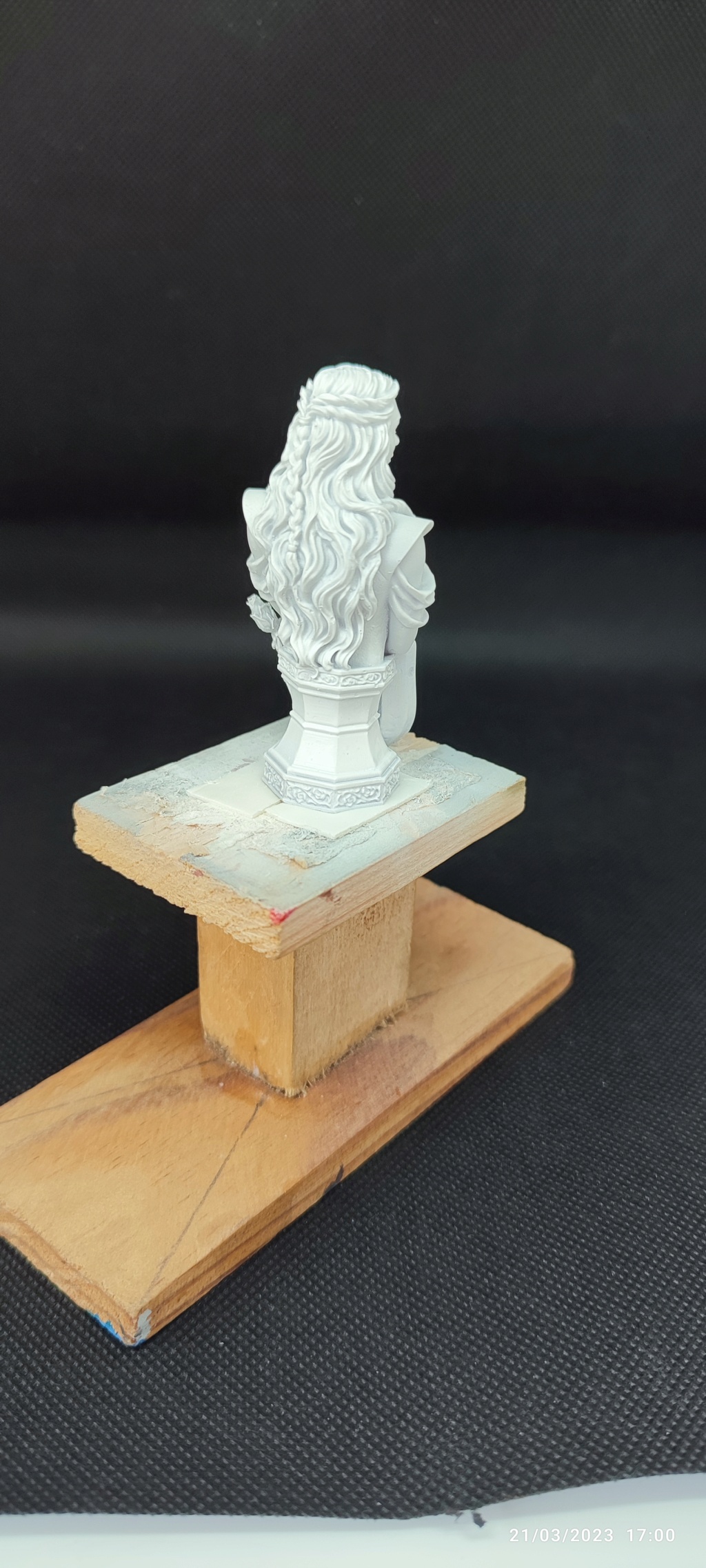 Buste de Margarey Tyrell, Le Trone de Fer résine 66mm Img_3707