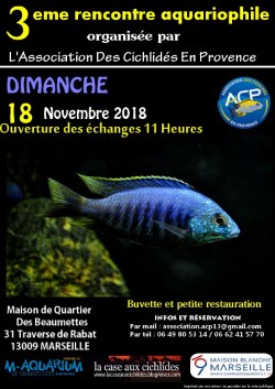 bourse   18 novembre 2018 Thumbn10