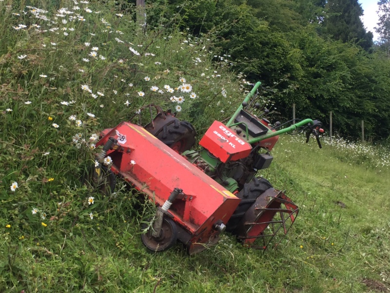 coupe herbe 2019  Img_3213