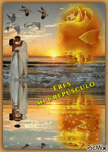 ERES MI CREPÚSCULO 90662810