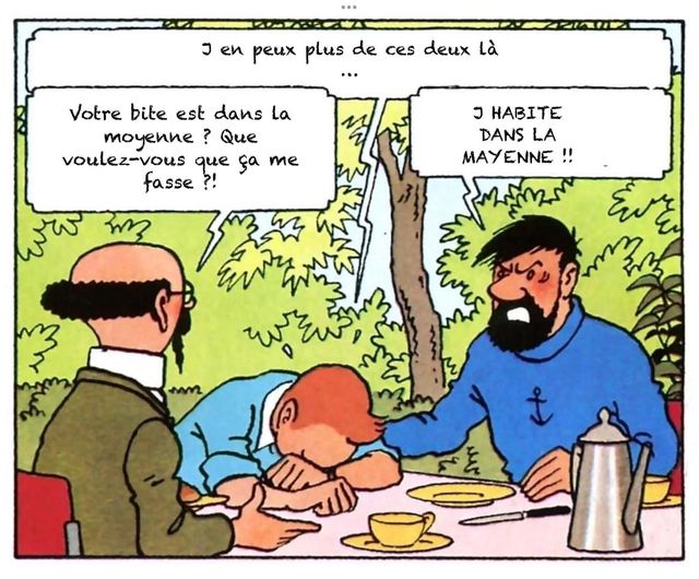 Images d'humour - Page 14 Tintin10