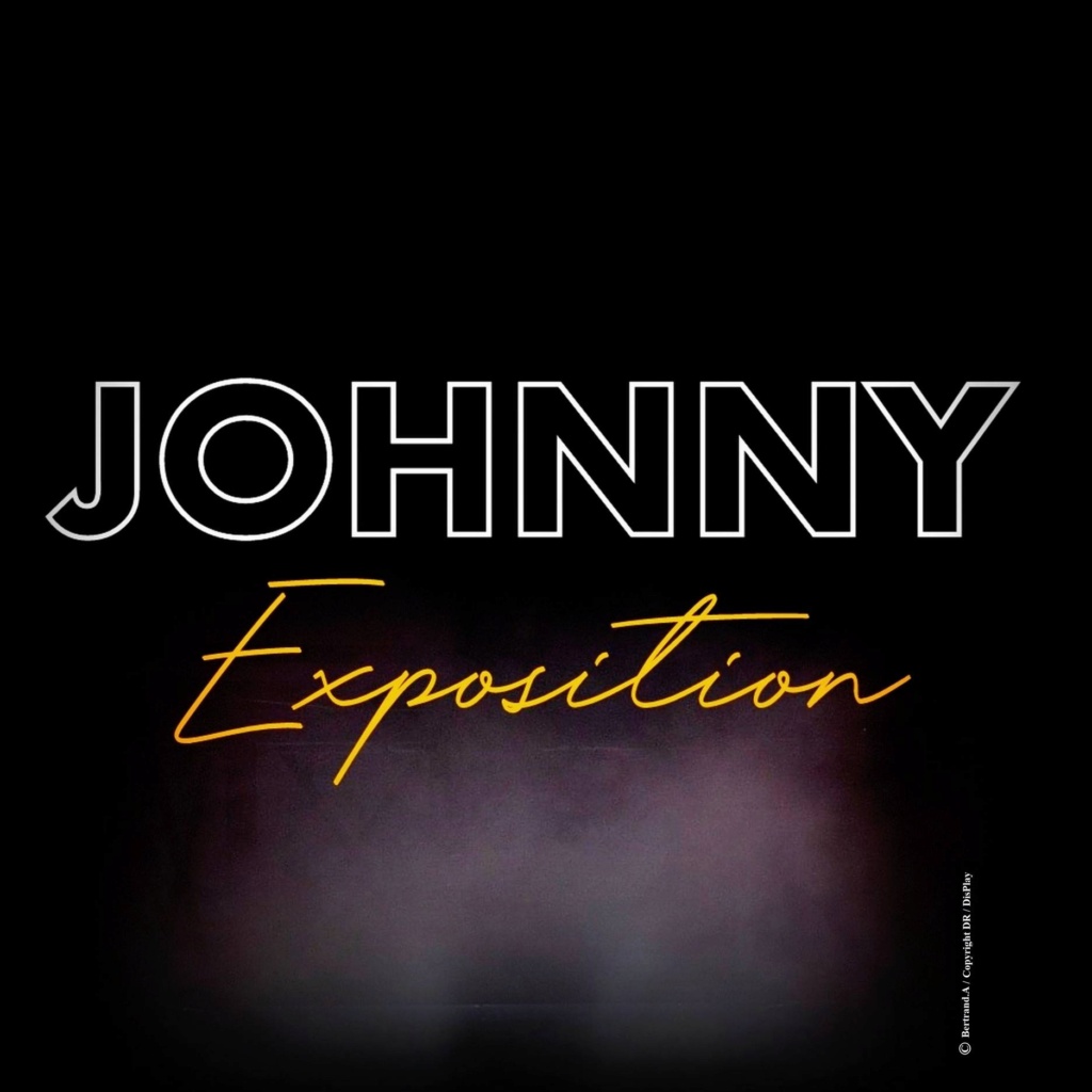 JOHNNY EXPOSITION A NANCY  17308910