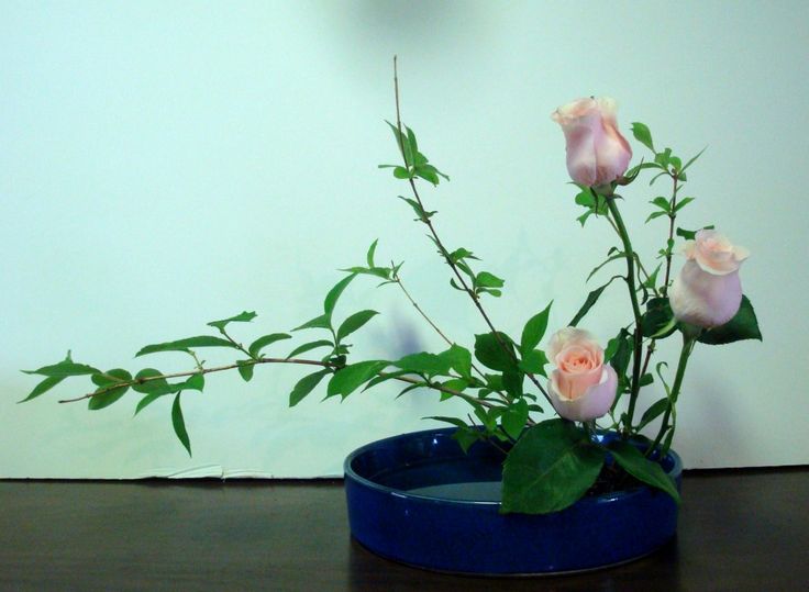 Ikebana - Page 49 37161210