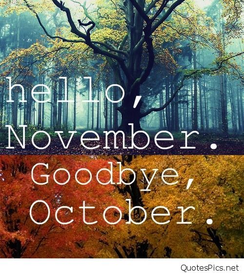 Hello November  Goodby11