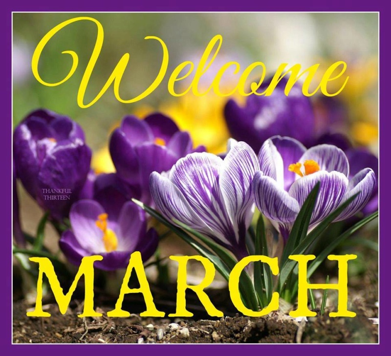 Hello Mart March_12