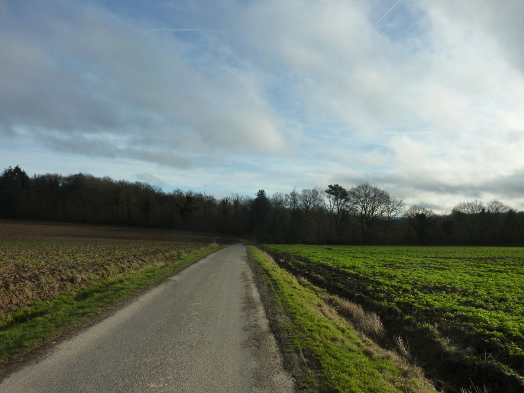 Balade de l'année nouvelle P1090223