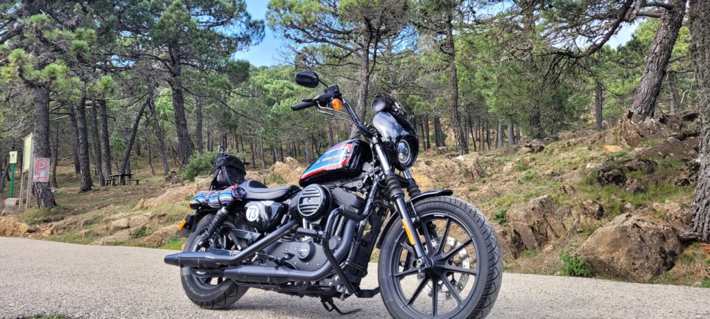 Mando Harley 20220210