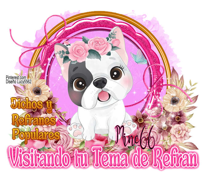 BIENVENIDAS A MI REFRAN MIERCOLES 05/08/24 (XENA02) Perrit49