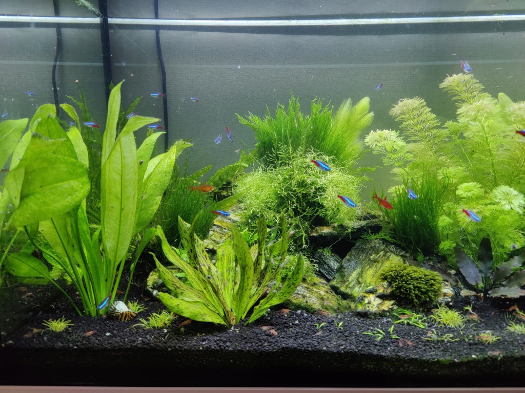 Aquarium Juwel Led 180 311