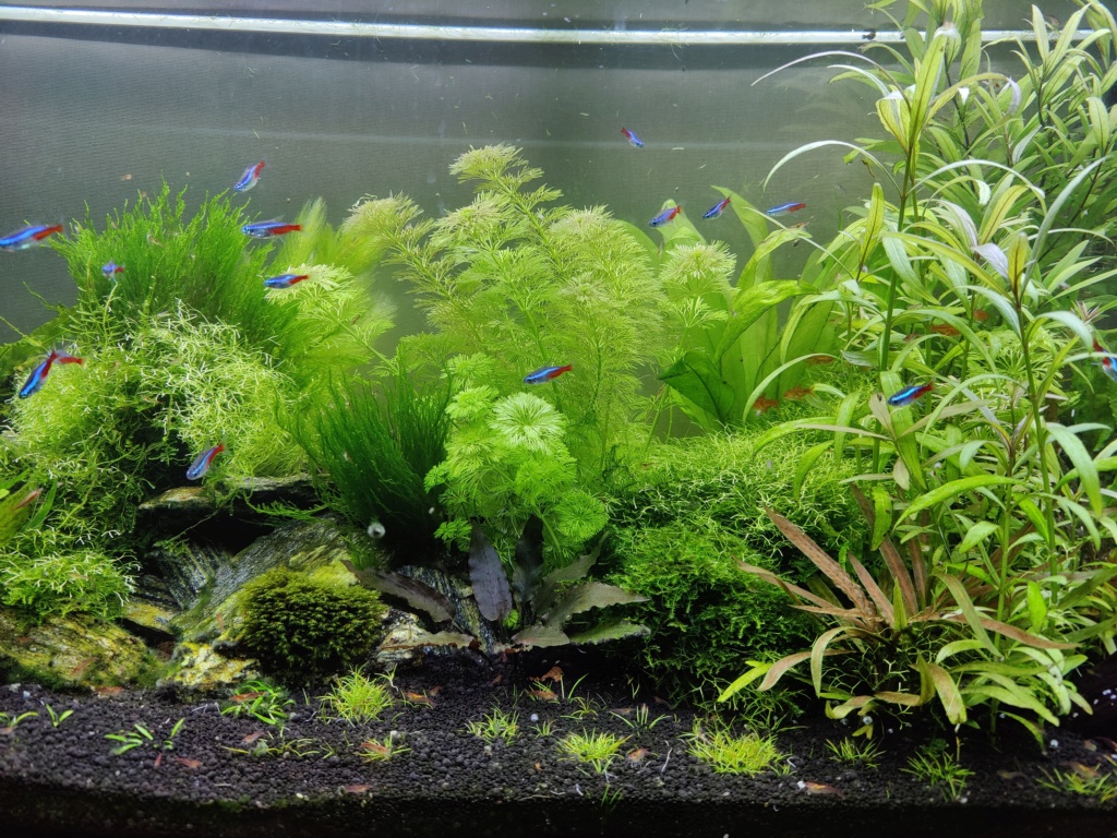 Aquarium Juwel Led 180  411