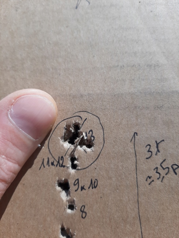 1er carton nouvelle bebete... 20190514