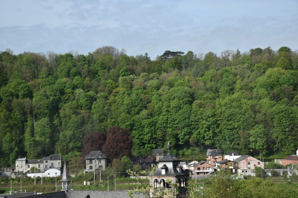 Spitfire et Maredsous. - Page 2 Dsc_0214