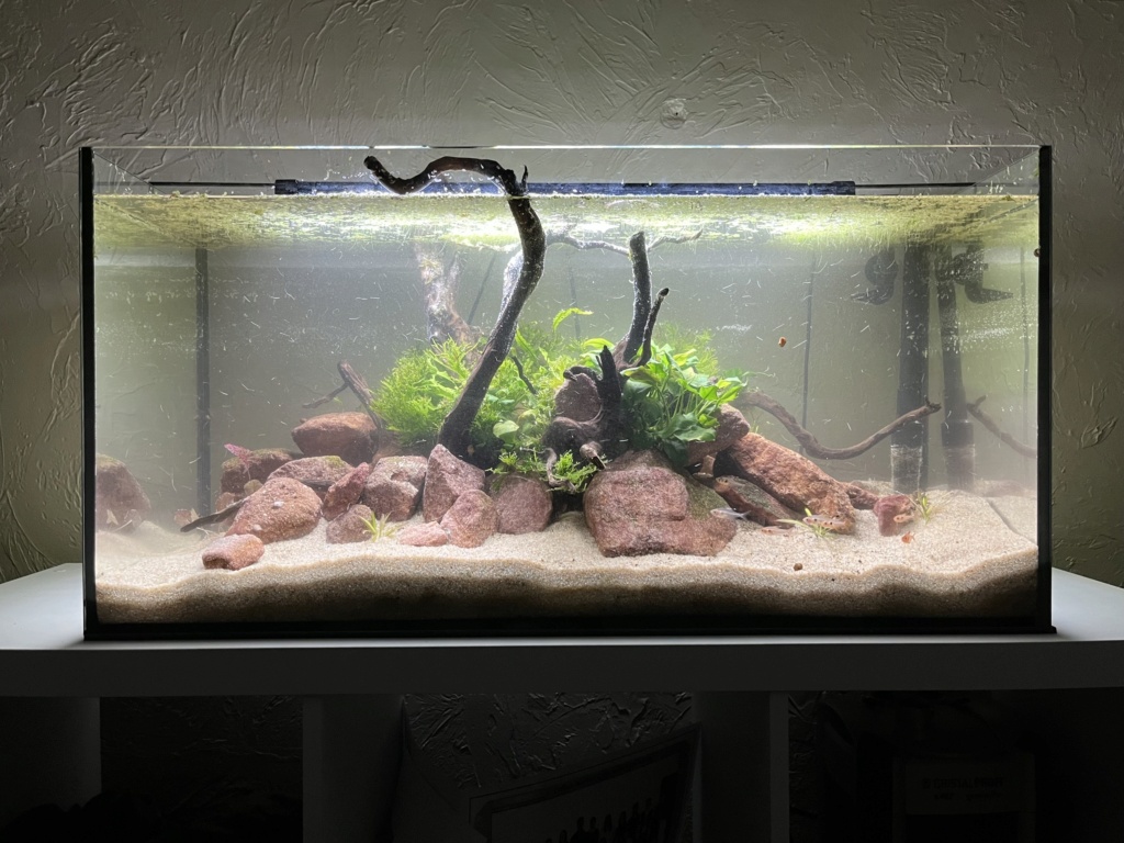 les aquariums de Daniel  F810bf10