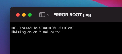 [résolu]Big Sur 11.2 post installation Error_11