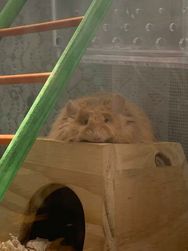 Hello Everyone! :) Bilbo11