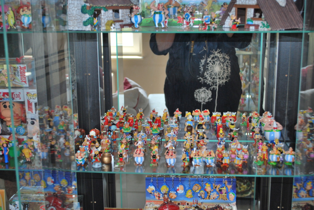 Ma collection de figurines du monde d'Astérix Photo_29