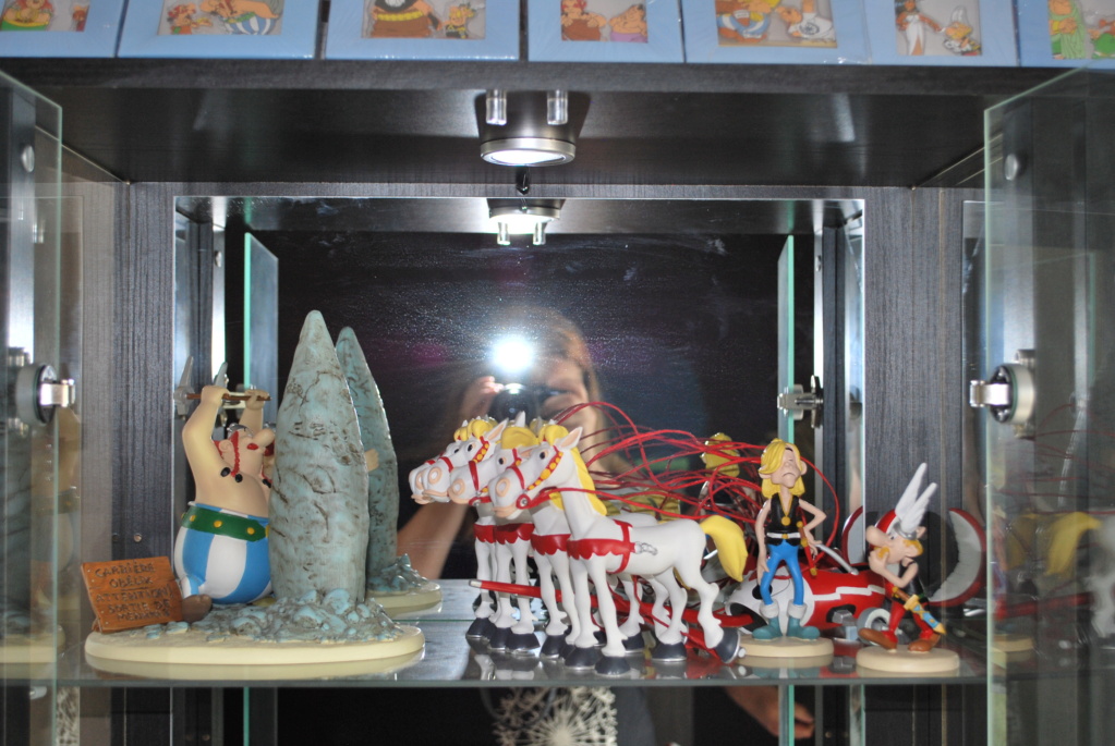 Ma collection de figurines du monde d'Astérix - Page 2 Photo_46