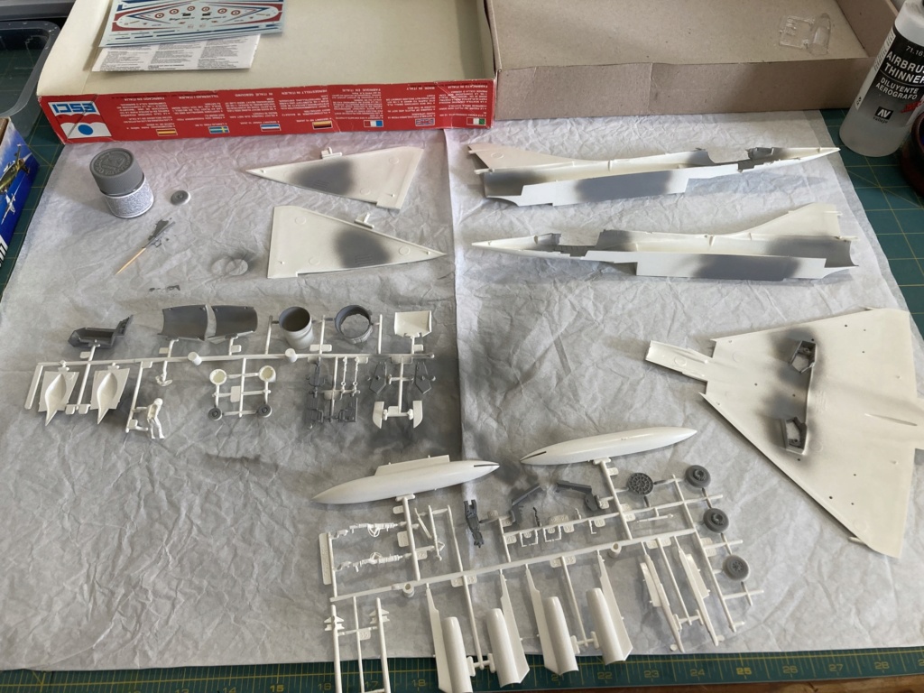 [Monogram] 1/48 - Dassault Mirage 2000-01  Img_5613