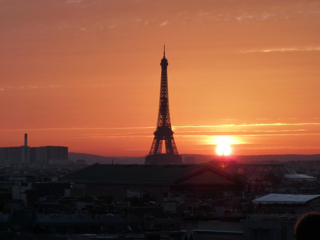 Paris vue du toit P1140410