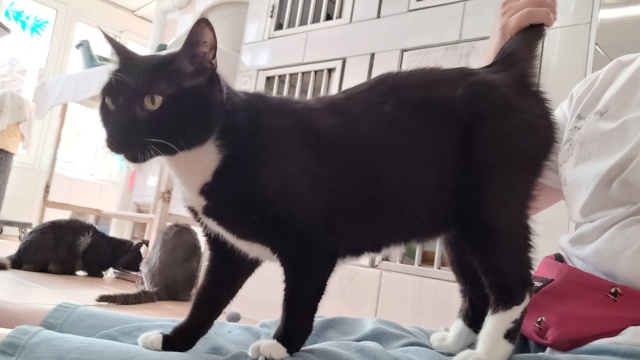 leonie - LEONIE - Noire et blanche (06/2022) Lzooni12