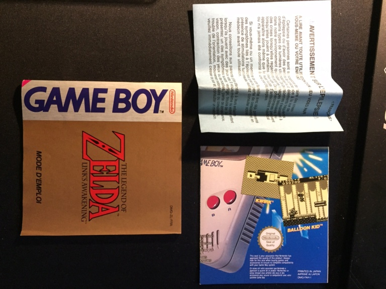 Link's awakening Complet Zeldag12