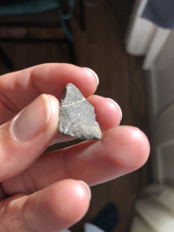 Meteorites  Img_2413