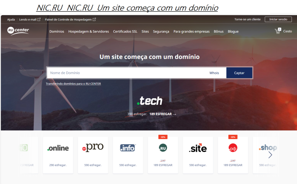 Um site começa com um domínio NIC.RU Site10