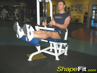 La flexion des jambes, assis à la machine Hamstr10