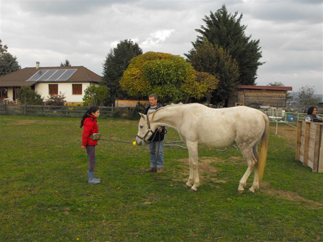 Rencontres clicker-training pour s'amuser ensemble... - Page 3 Dscf8316