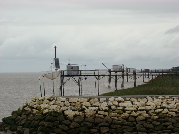 entre blaye  et mortagne (bord de mer) Dsc03919