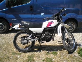 DTMX 125cc Membres / Mod. 1981 Dtmx0010